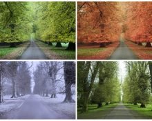 confira-quais-as-estacoes-do-ano-e-quando-comeca-cada-uma-2 confira-quais-as-estacoes-do-ano-e-quando-comeca-cada-uma-2